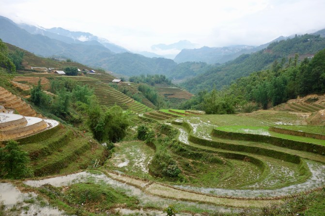 sapa