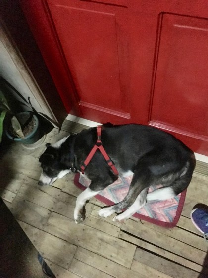 treffpunkt puerto princesa