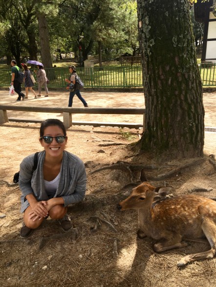 nara deer