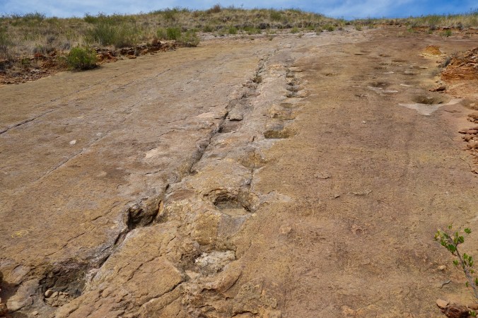torotoro dinosaur footprints