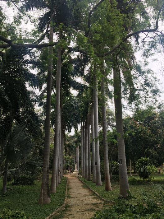 Quinta de San Pedro Alejandrino